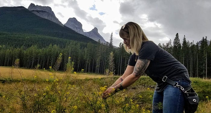 Chef Tracy Little foraging Canmore Alberta
