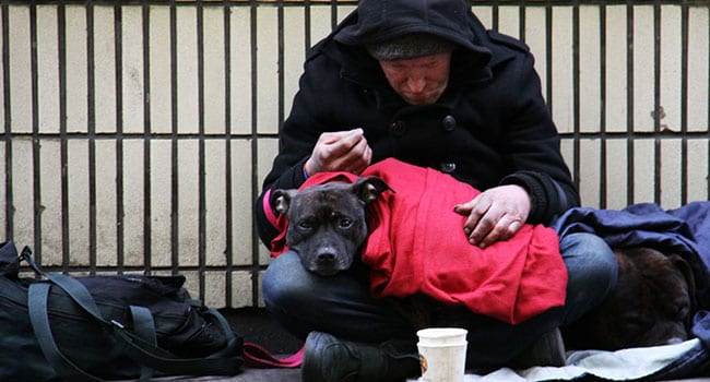 Homeless man sitting on street with his dog