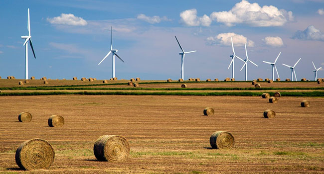 alberta green ecomomy energy wind agriculture