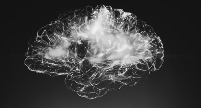 Brain neurology neuroscience