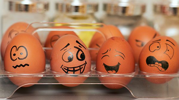 egg-laugh-humour