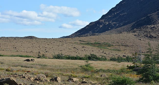 Gros Morne Tablelands nature outdoors Canadian north