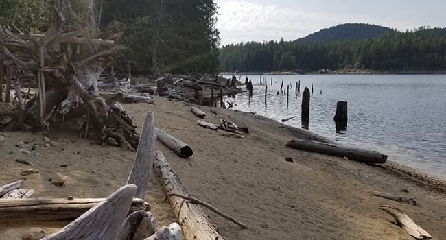 trees beach b.c. rec sites campsites lake