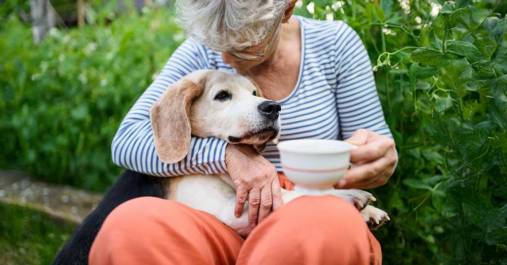Rising pet food prices are hitting seniors and people living alone hardest, turning what was once a lifestyle choice into a basic household necessity