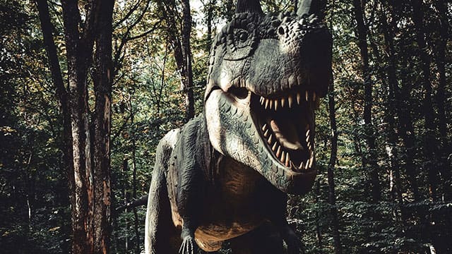 Was T-rex (Tyrannosaurus rex) as smart as a baboon?
