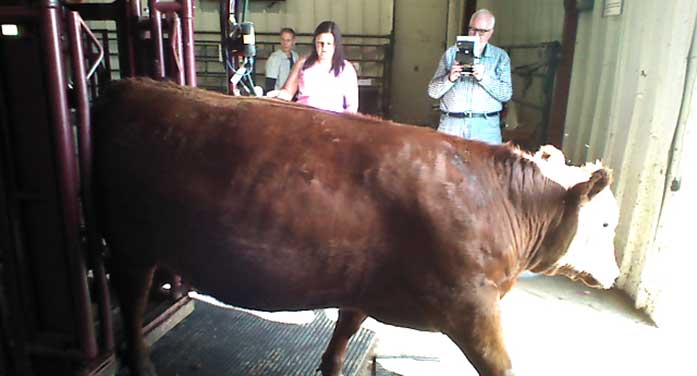 Graham Plastow leading team developing the armchair rancher app
