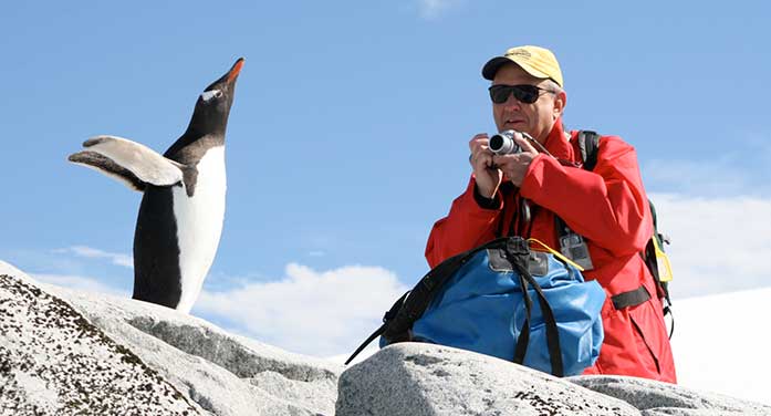 Geoff Carpentier gentoo Penguin Antarctica wildlife nature bird animal