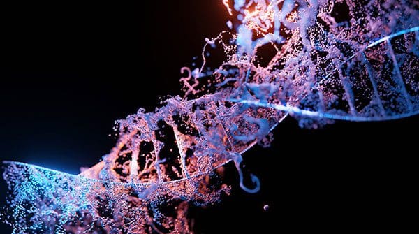Gene editing food security